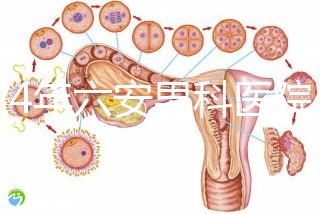 2024年六安男科醫(yī)院排名發(fā)布，裕安哪個(gè)好文件告訴答案