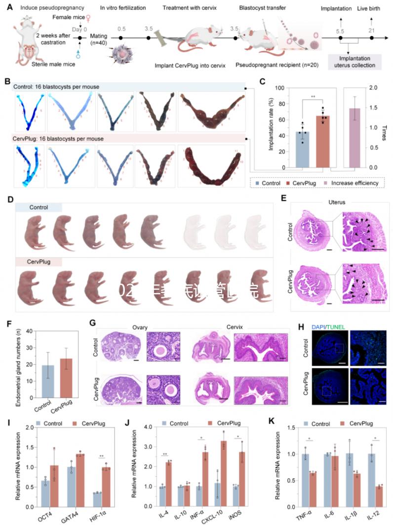 2024年婁底試管醫院排名來襲！成功率最高的生殖中心是..