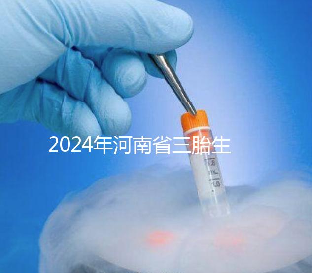 2024年河南省三胎生育津貼發生變化！南陽和信陽最高獎勵20萬！