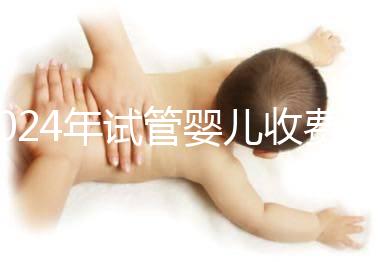 2024年試管嬰兒收費(fèi)價目表及一/二/三代費(fèi)用明細(xì)概覽