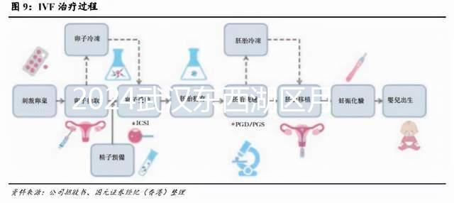 2024武漢東西湖區月子中心排行前十，口碑告訴你哪家最好