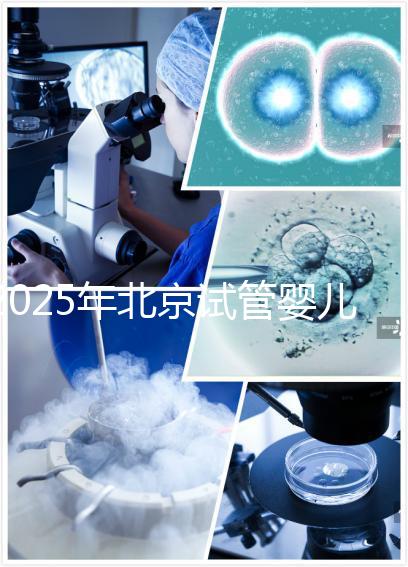 2025年北京試管嬰兒機構(gòu)哪家強？生育旅程如何開啟？