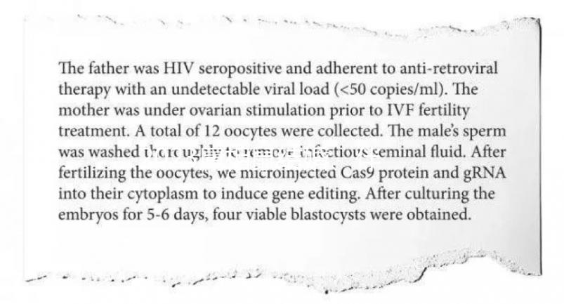2023屬相鼠結(jié)婚、伴娘忌什么屬相答案在這，96年的要注意