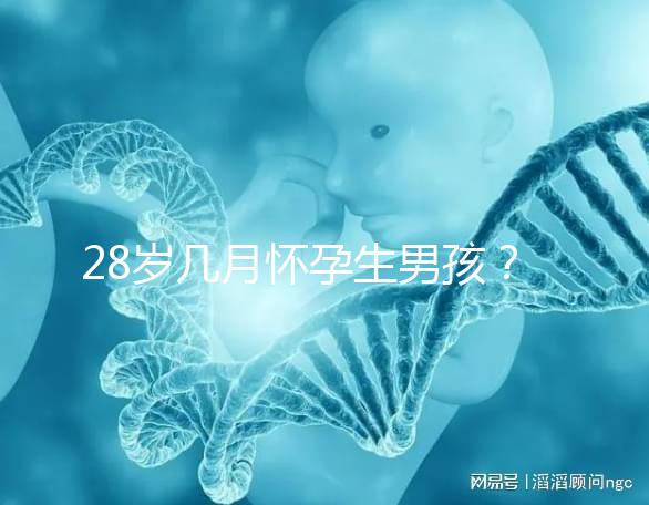 28歲幾月懷孕生男孩？2023年生男孩的月份表看這里
