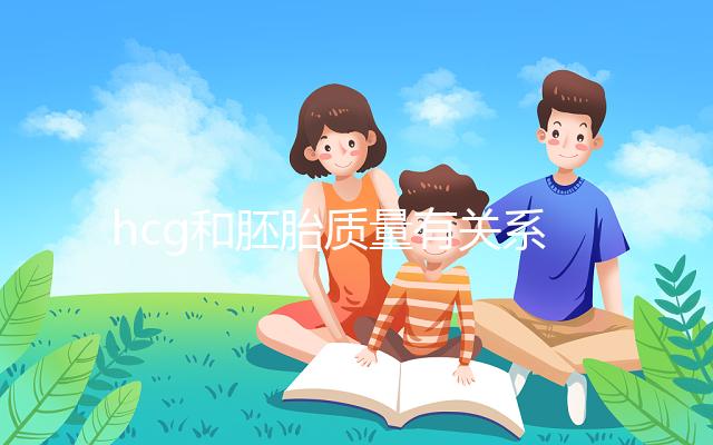 hcg和胚胎質量有關系？hcg低并不一定是胚胎不好！